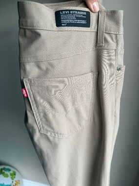 Levi Men’s Beige Pants size 32/32